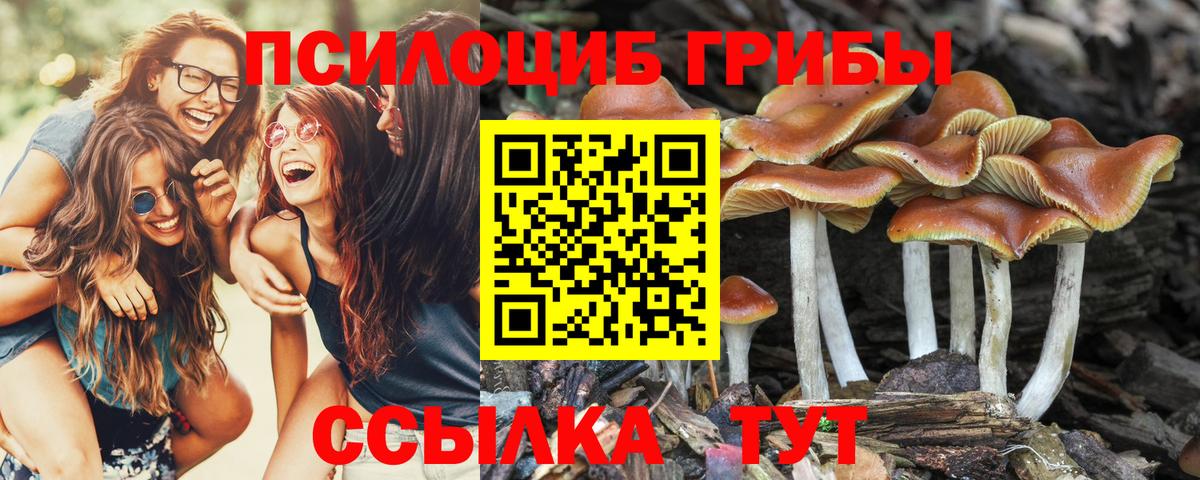 Галлюциногенные грибы Magic Shrooms  Вход с VPN  даркнет сайт  Валуйки 